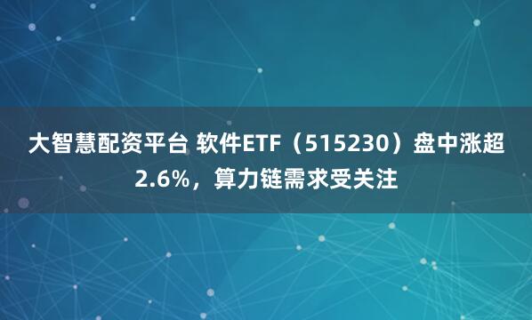 大智慧配资平台 软件ETF（515230）盘中涨超2.6%，算力链需求受关注